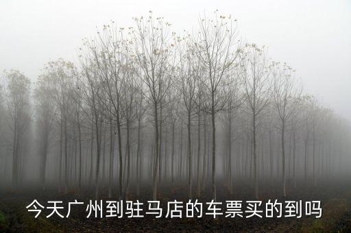 平輿到廣州的車票，春運期間從廣州到河南平輿縣大巴多少錢