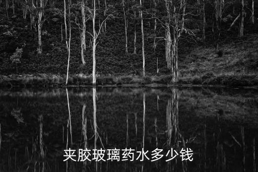 廣州市立盾牌夾膠水，夾膠玻璃藥水多少錢
