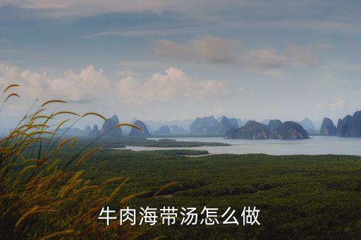 牛肉海帶湯怎么做
