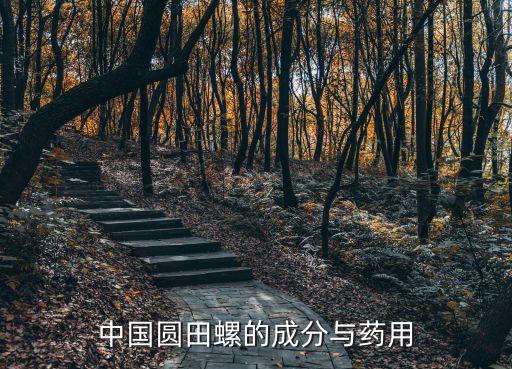 中國圓田螺的成分與藥用