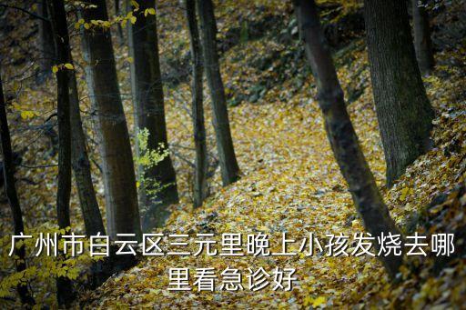 廣州看發燒去哪個醫院，廣州市白云區三元里晚上小孩發燒去哪里看急診好