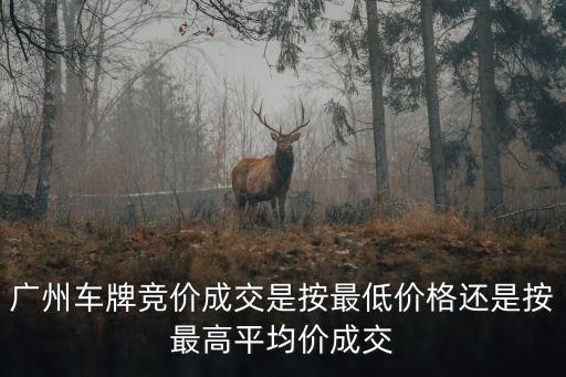 廣州中小客車競(jìng)價(jià)系統(tǒng)報(bào)價(jià)，請(qǐng)問廣州競(jìng)價(jià)一個(gè)車牌現(xiàn)在需要多少錢啊
