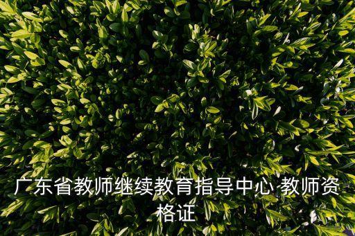 2020年廣州教師繼續教育答案，09繼續教育考試答案