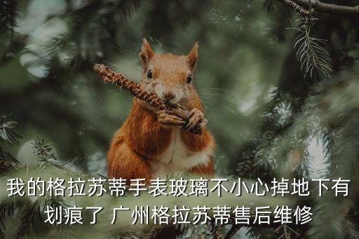 我的格拉蘇蒂手表玻璃不小心掉地下有劃痕了 廣州格拉蘇蒂售后維修