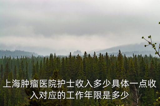 上海腫瘤醫院護士收入多少具體一點收入對應的工作年限是多少