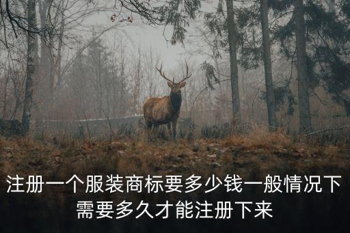 注冊一個服裝商標要多少錢一般情況下需要多久才能注冊下來