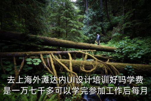 去上海外灘達內UI設計培訓好嗎學費是一萬七千多可以學完參加工作后每月