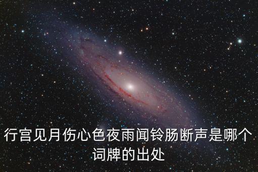行宮見月傷心色，行宮見月傷心色夜雨聞鈴腸斷聲是什么意思