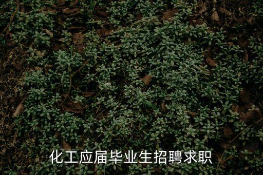 化工應屆畢業生招聘求職