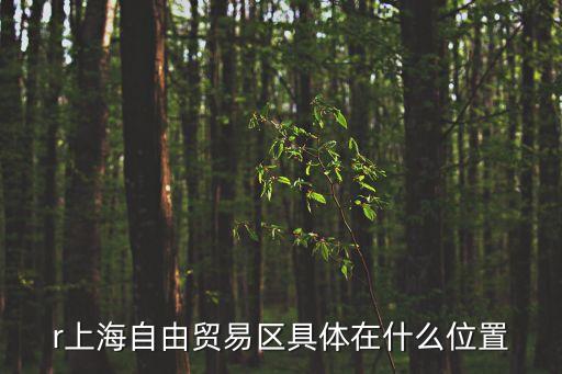r上海自由貿易區具體在什么位置
