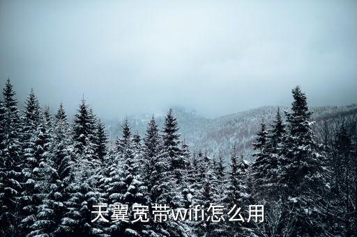 天翼wifi，天翼無(wú)線網(wǎng)絡(luò)