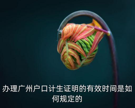 辦理廣州戶口計生證明的有效時間是如何規定的