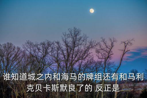 誰知道城之內和海馬的牌組還有和馬利克貝卡斯默良了的 反正是