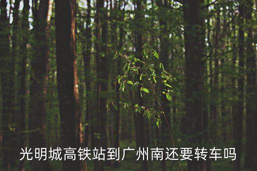 光明城站至廣州南站，光明城站到廣州南的動車是幾點