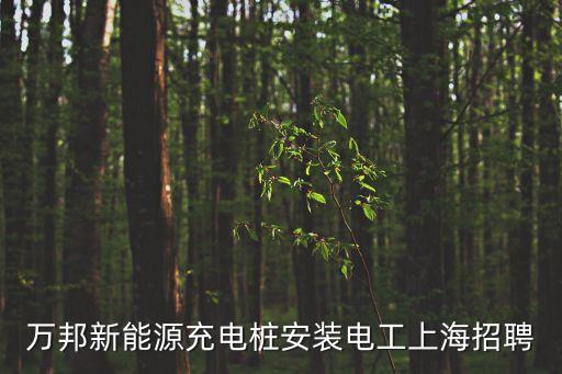 上海市汽車充電樁安裝公司，萬邦新能源充電樁安裝電工上海招聘