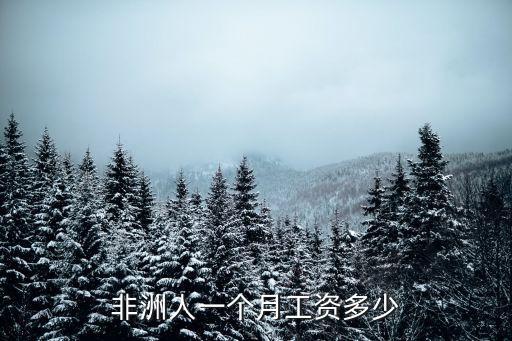 非洲人一個月工資多少