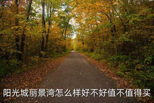 陽光城麗景灣怎么樣好不好值不值得買