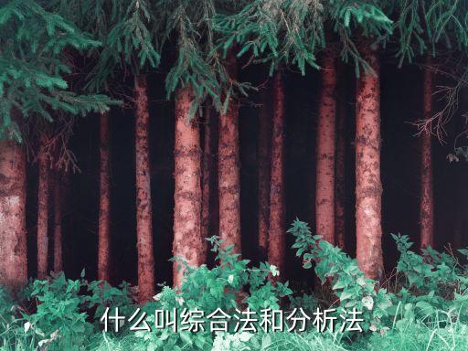 綜合法和分析法，分析法和綜合法的算式一樣嗎