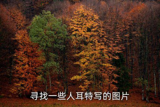 耳朵的圖片，動物耳朵的樣子和用途