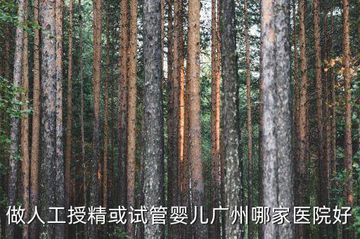 做人工授精或試管嬰兒廣州哪家醫(yī)院好