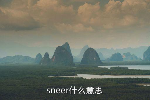 sneer什么意思