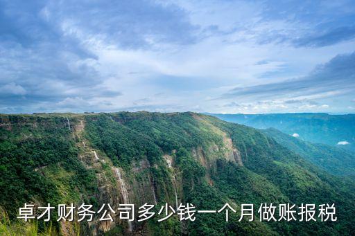 卓才財務公司多少錢一個月做賬報稅