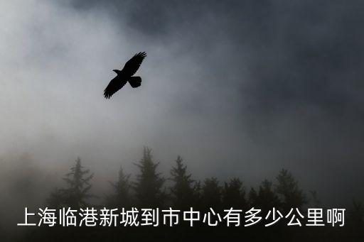 上海市臨港新區離布區多遠，上海臨港新城到市中心有多少公里啊