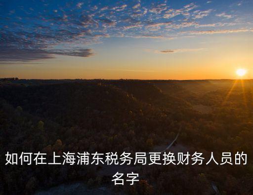上海市稅務(wù)局更改財(cái)務(wù)負(fù)責(zé)人，電子稅務(wù)局改財(cái)務(wù)負(fù)責(zé)人在哪里看