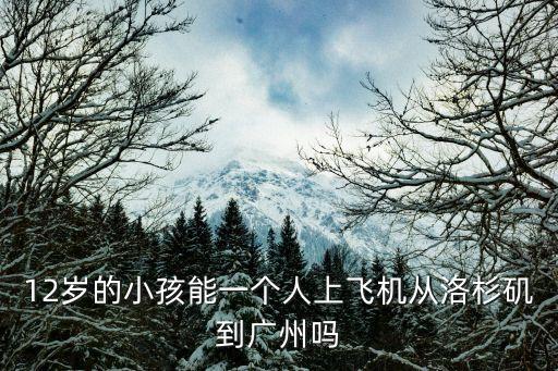 洛杉磯回廣州需要集中隔離嗎，12歲的小孩能一個人上飛機從洛杉磯到廣州嗎