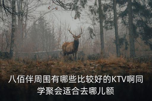 八佰伴周圍有哪些比較好的KTV啊同學(xué)聚會(huì)適合去哪兒額