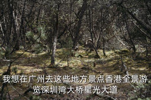 我想在廣州去這些地方景點香港全景游覽深圳灣大橋星光大道