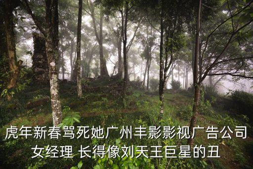 楚香凝廣州2013，虎年新春罵死她廣州豐影影視廣告公司女經理 長得像劉天王巨星的丑
