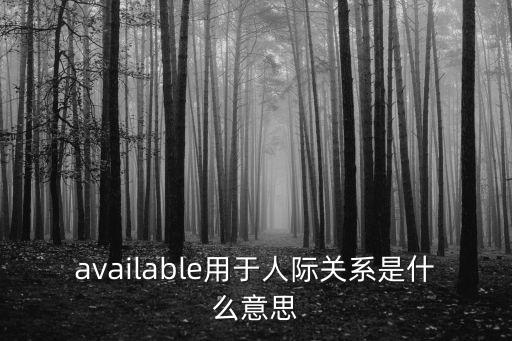 available，available用于人際關系是什么意思