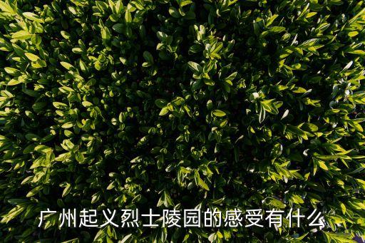 參觀廣州烈士陵園感受，廣州起義烈士陵園的感受有什么