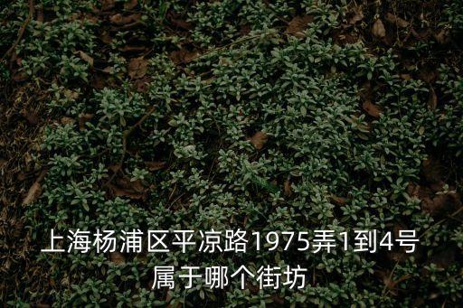 上海市平?jīng)鼋值?3街坊，平?jīng)雎?777弄是大橋街道第幾街坊