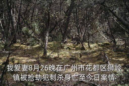 我愛妻8月26晚在廣州市花都區(qū)獅嶺鎮(zhèn)被搶劫犯刺殺身亡至今日案情