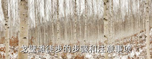 上海市徒步走戈壁，上海市周邊有沒有適合獨自周末徒步旅行的線路