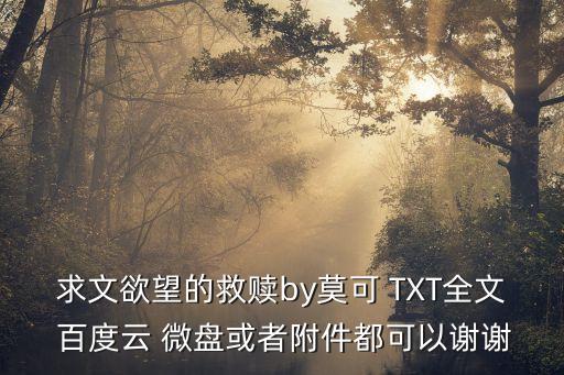 求文欲望的救贖by莫可 TXT全文 百度云 微盤或者附件都可以謝謝