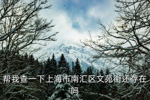 幫我查一下上海市南匯區文苑街還存在嗎