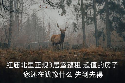 紅廟北里正規3居室整租 超值的房子 您還在猶豫什么 先到先得