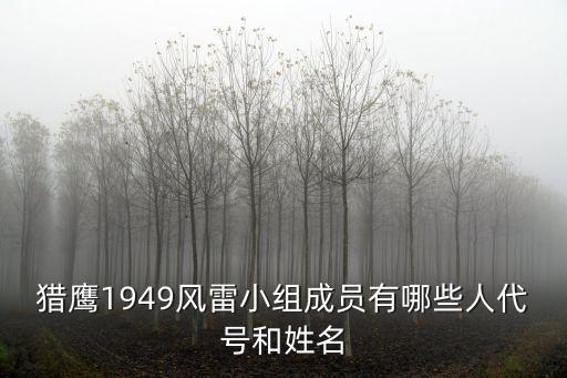 獵鷹1949風雷小組成員有哪些人代號和姓名