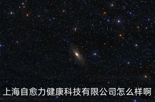 上海市自愈力公司，上海自愈力健康科技有限公司怎么樣啊