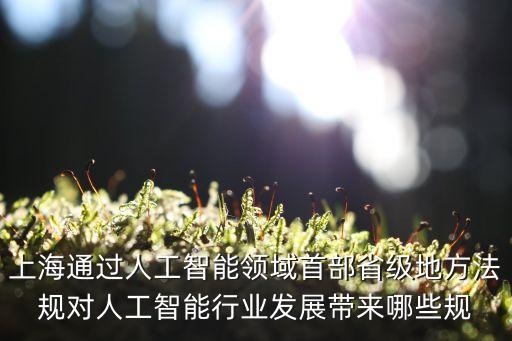 上海市高質(zhì)量立法，請問大蝦有誰知道上海市相關(guān)的地方性法律法規(guī)