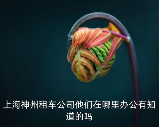 上海市神州租車服務，上海錦江附近有神州租車店嗎