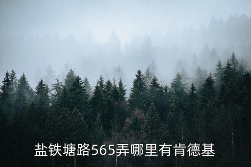 嫩江肯德基上海市，鹽鐵塘路565弄哪里有肯德基