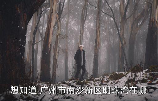 廣州金灣明珠小區，想知道 廣州市南沙新區明珠灣在哪