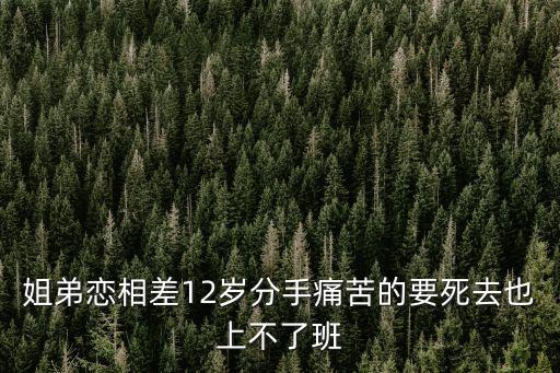 姐弟戀相差12歲分手痛苦的要死去也上不了班