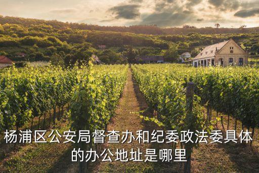 楊浦區公安局督查辦和紀委政法委具體的辦公地址是哪里