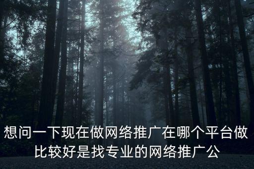 網絡推廣搜 廣州拾星 網站，網絡推廣哪一家的服務最好跪求