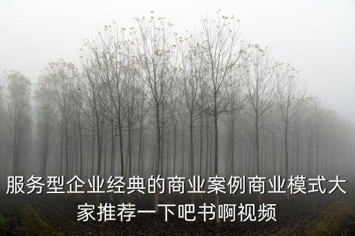 服務型企業經典的商業案例商業模式大家推薦一下吧書啊視頻